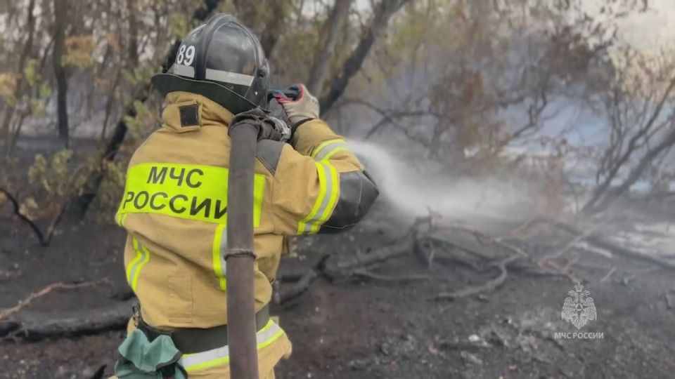 Огнеборцы МЧС России ликвидировали пожар в Амвросиевском районе