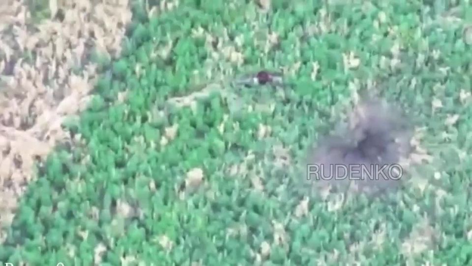 ������ �������: ������������ ����������� ����� ������� ���������� ������� ����� ���������� �� ����-�������� �����������