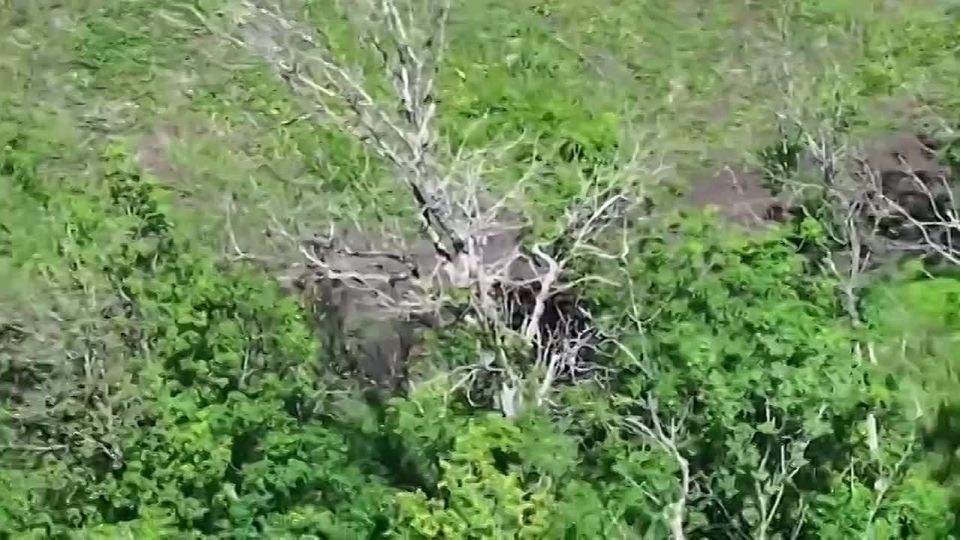 ������ �������: �� �� �������� ������������ ������ �� ��������� �����������