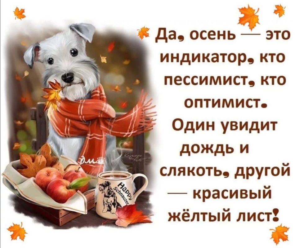 ��������� �����. ��������� ���������-24