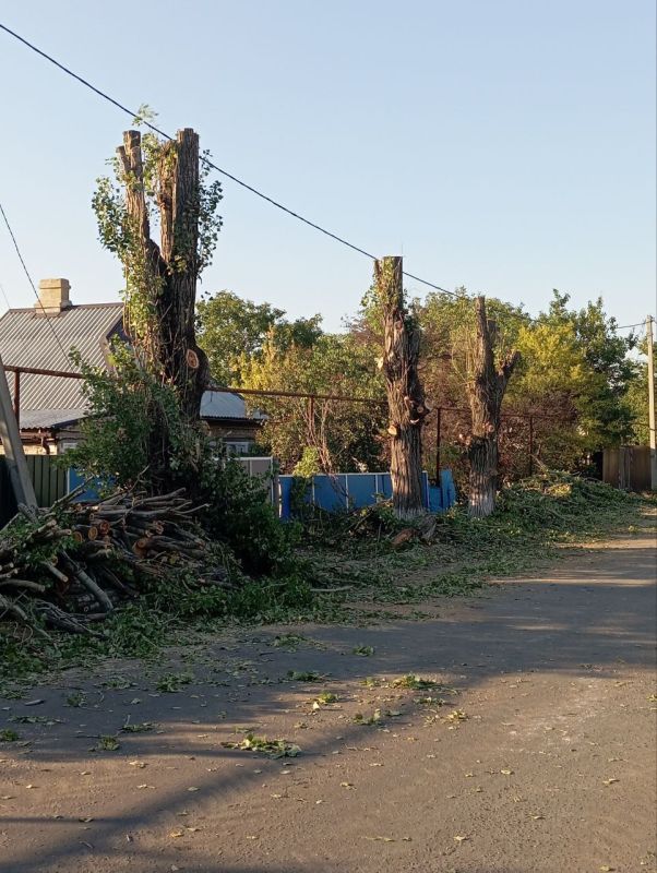 ������� ��������: � �������������� ������ ������������ ������ �� ����� ��������� ��������