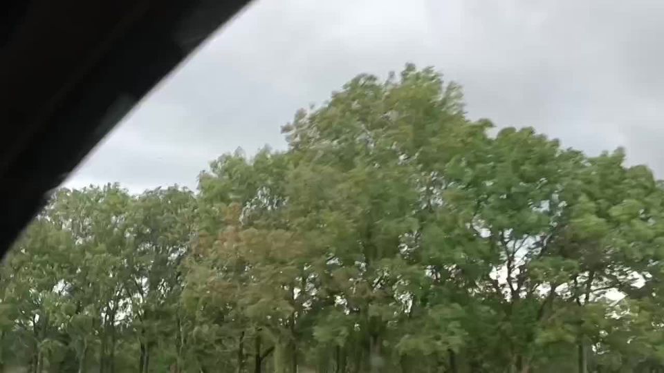 ������� ������: �� ������. ����. ����� ��� ����������.)