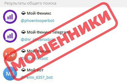 "Мой Феникс" меня бережёт: простые правила защиты своих персональных данных в Сети