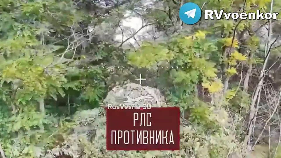 ����� � ���������: �������� ��� ��������� ���� ������������, ������ � ������� �����