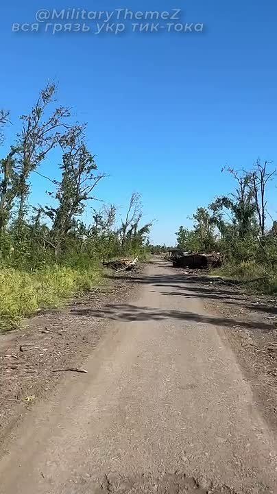 ��� ���� ����� � ����� ������������ ���� �-72�� � ���������������� M113 ��� �� ������������� ���������� ���-�� � ���