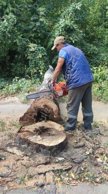 Алексей Кулемзин: Сегодня сотрудники предприятия «Зелёное строительство» провели ряд работ по благоустройству нашего города