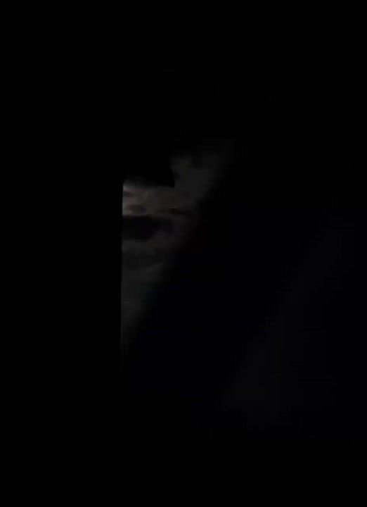 ������� ����� ���������� ���� ������ ������� ���������� ����� �� ������� �������������� ���������� �� ���������� �������