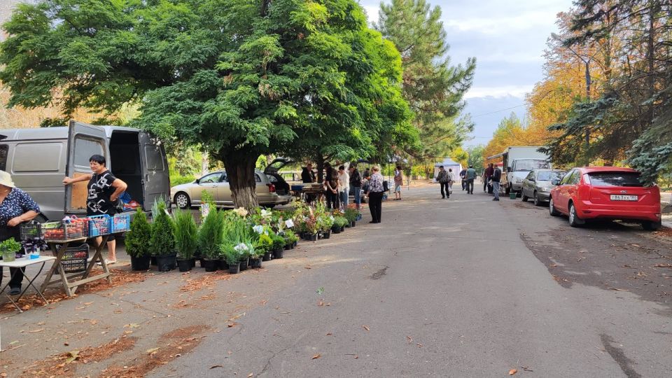 ������� ��������: � ������� ����������� ������ �������� �������