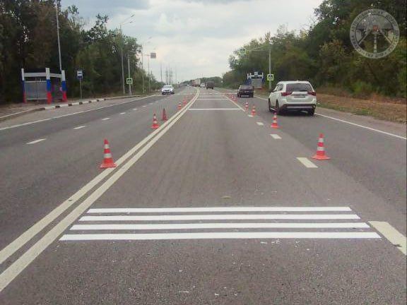 #свод_за_сутки #летнее_содержание