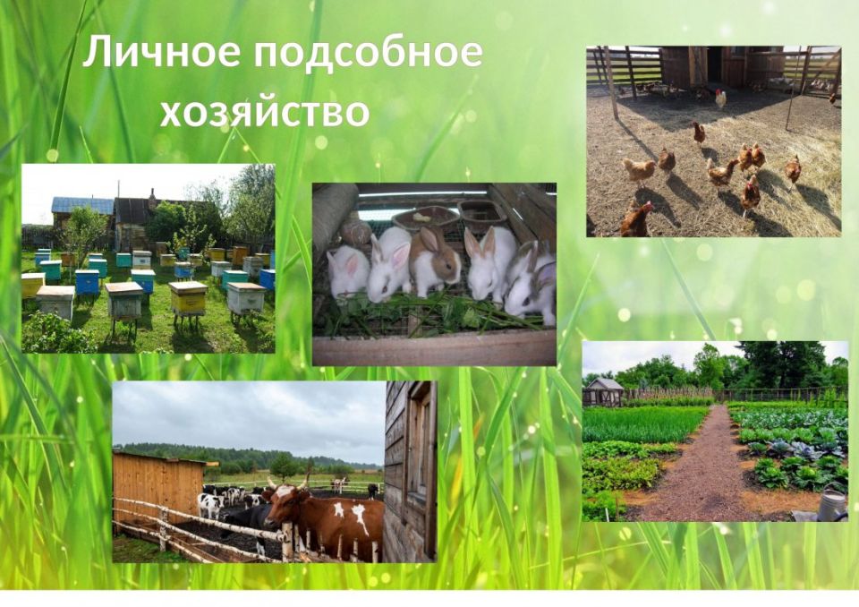 Игорь Мартынов: Внимание, жители городского округа Енакиево!