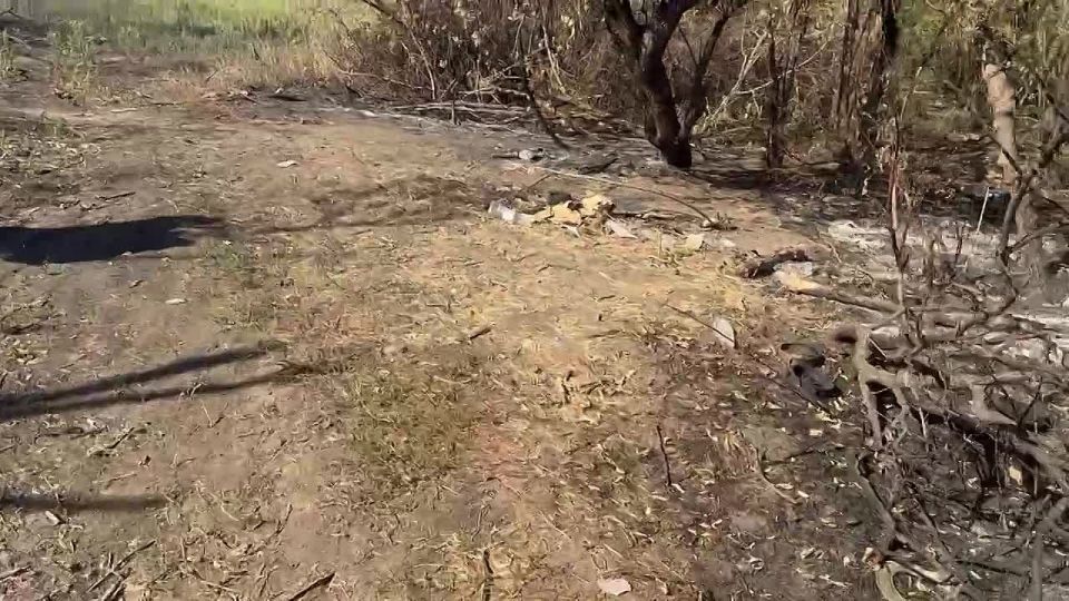 ������ �������: ���������� 37 ��������� ����������� �������������� ������� ����������� "������" �� �� �� ������� �������� ���� ������������� ������ � �������� ����������� ��������������� International MaxxPro �������������...