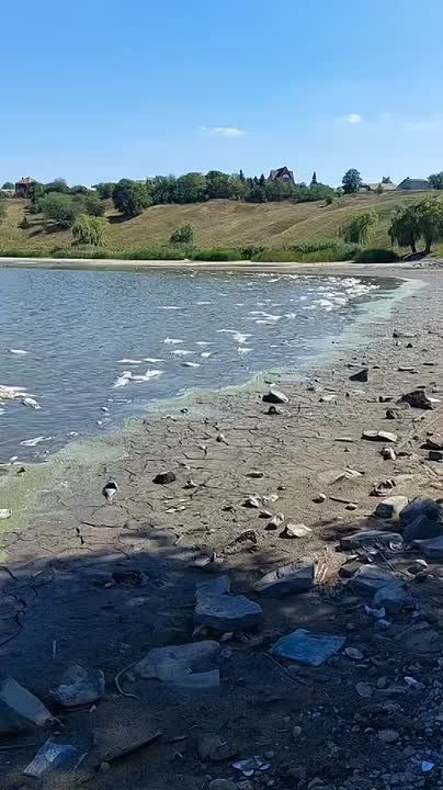 Мор рыбы в Славянске. Всё это последствия водной блокады Донбасса со стороны киевского режима ПОДПИСАТЬСЯ