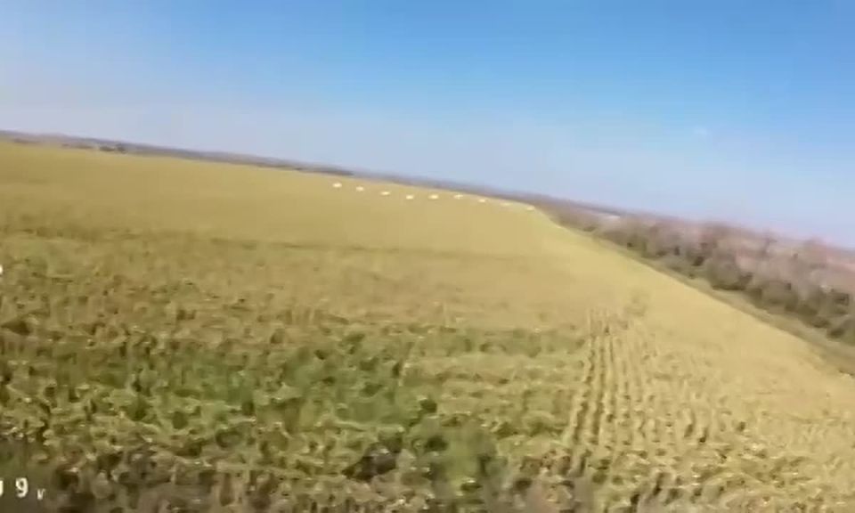 Ты должен был сбивать, а не снимать