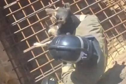 � �������� ��������� ������� ������ �� 10-�������� ���