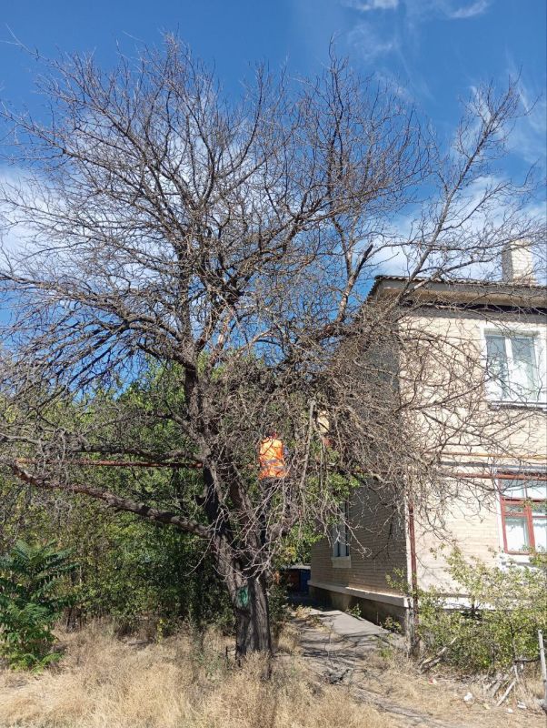 ������� ��������: � �������������� ������ ������������ ������ �� ���������� ��������� ��������