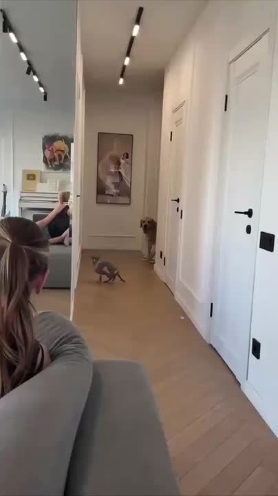 ��� ��������������. � ���� ��� ����� ��� ������������ ������� � ������
