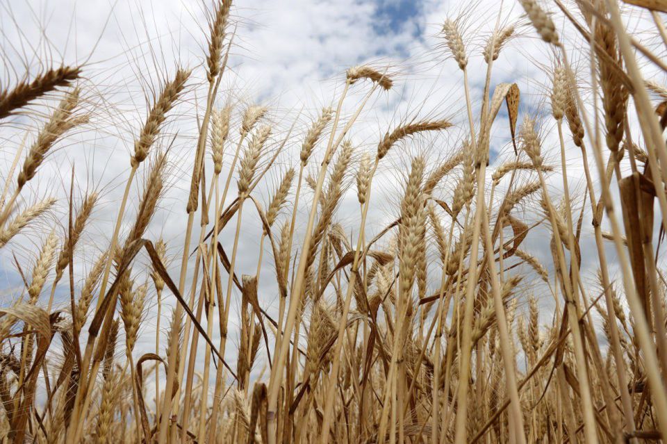 �� ���������� ����������� ������ ���������� ������������ ���������� ������� ������