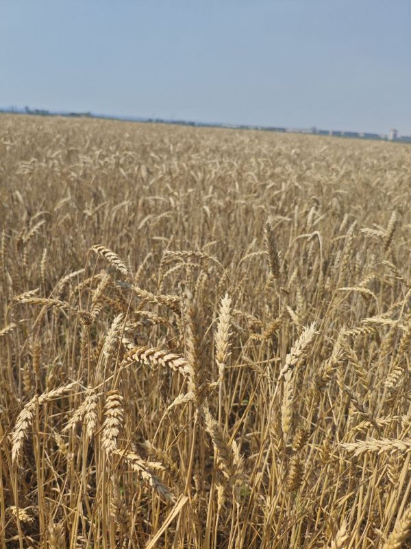 � ��� ��������� ������ ��������������� ���������