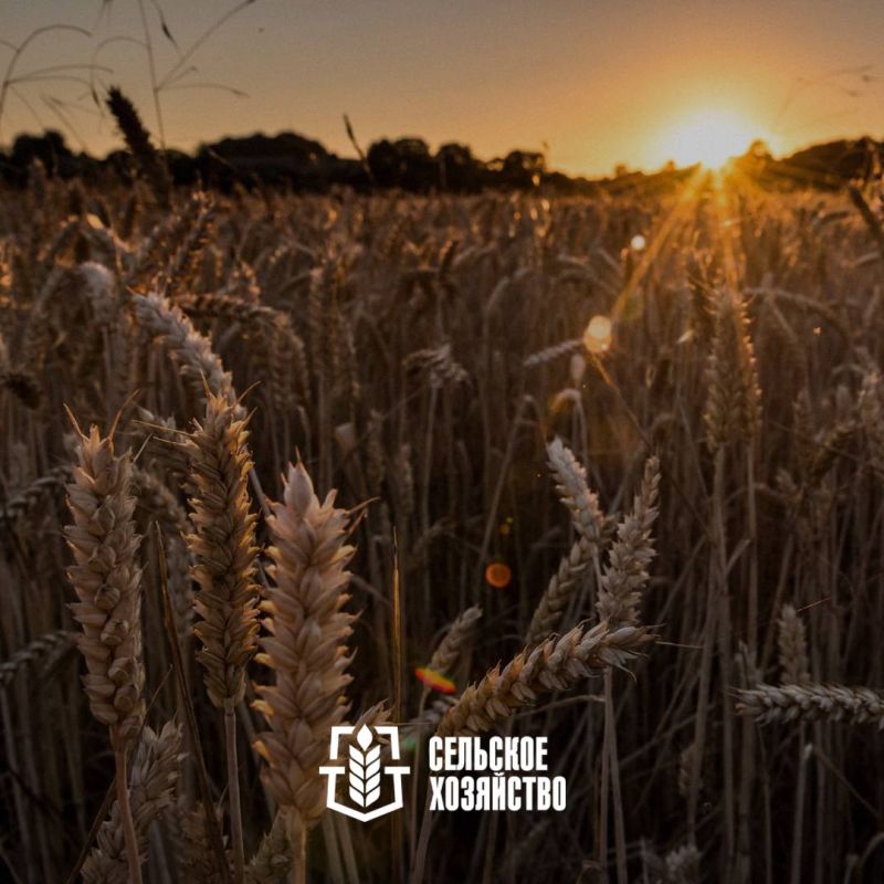 � ��� ��������� ������ ��������������� ���������