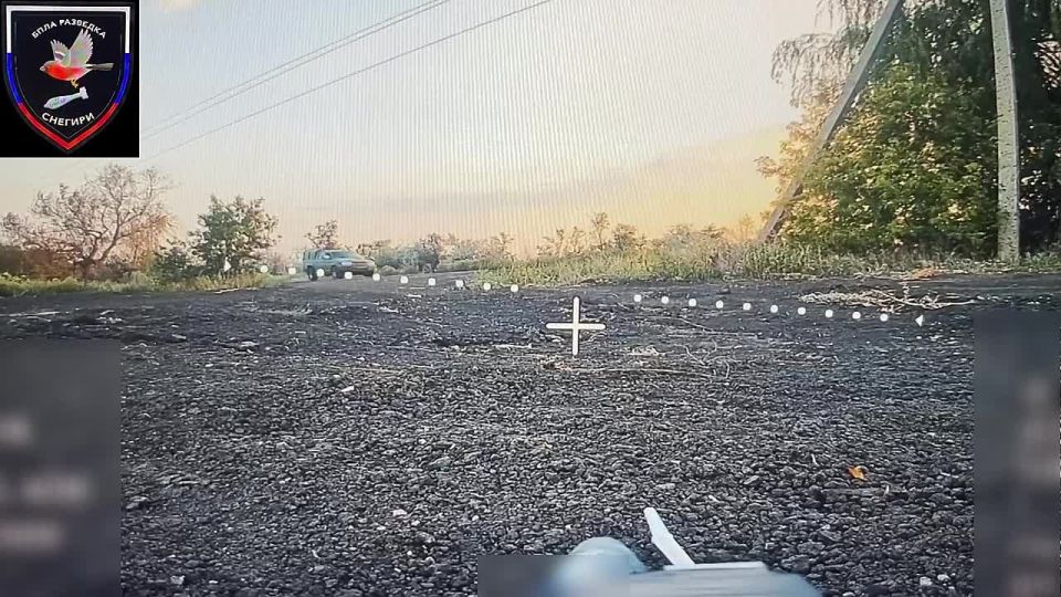 ������ ������ ����������� 37 ��������� ����������� �������������� ������� ����������� "������" �� �� �� �������, ������� �� ��������