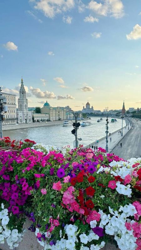 ����������� ���������� ��������, �������������, ������������ � �������� ���� ������ �����������, �������� �� �������� � ������ ��������� ������� ��������� � �� ��� ��������� ������, � ������������ ������...