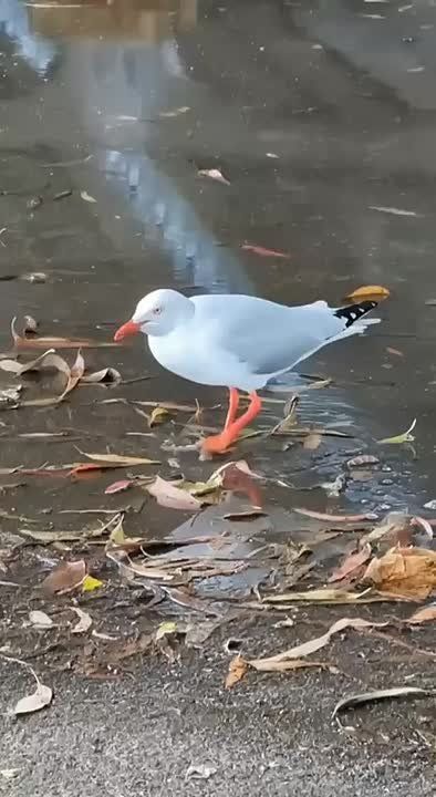 � �� �����, ����� ����� ������� �������?