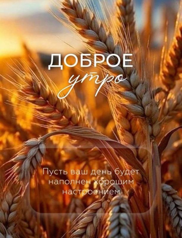 #доброе_утро