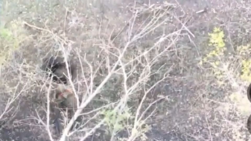 «Подземный десант» у Купянска