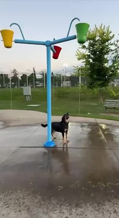 ����� ������� ���� ����. ��, ������ � ����������