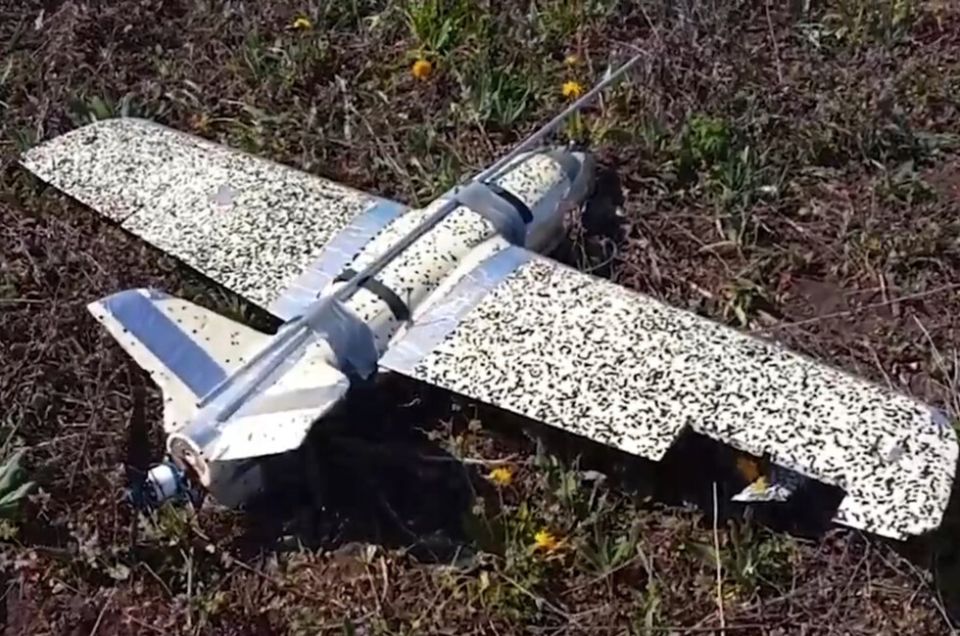 ���������� ��� �� ���� ����� 80 ���������� ������ ��� ���� ���