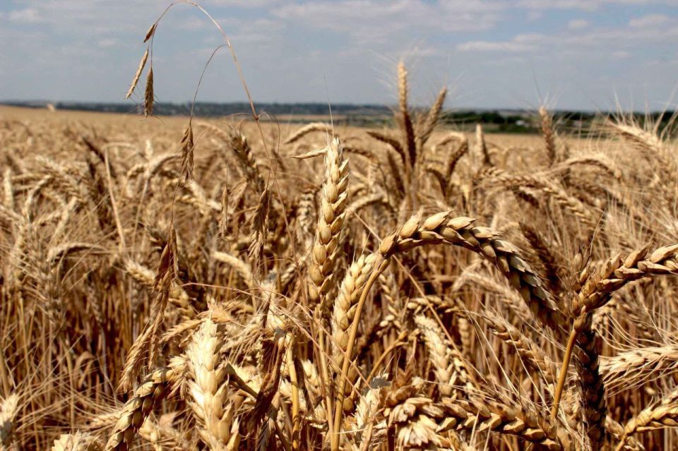 ������ ��������������� ��������� ��������� � ���