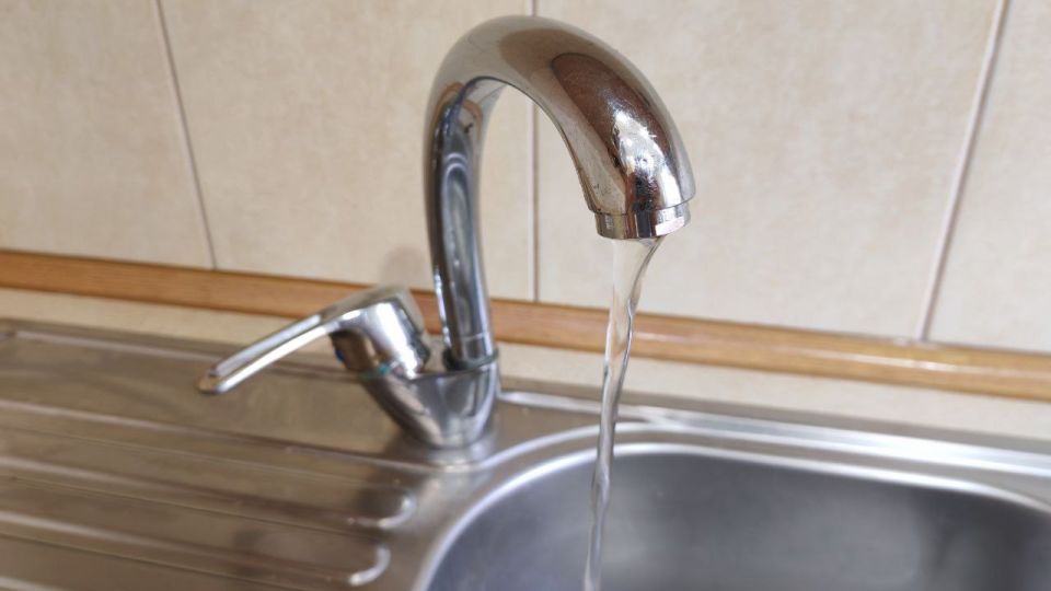 ������� ���� �� ������������: ������ ������ ������ ���� � ��� �� �����