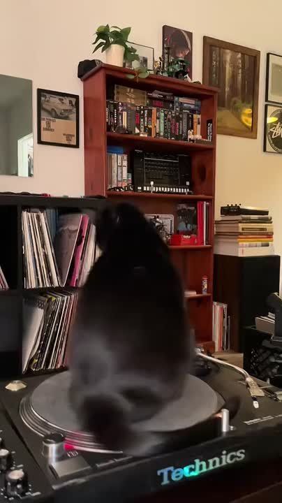 �������� ���� ����������� ���������
