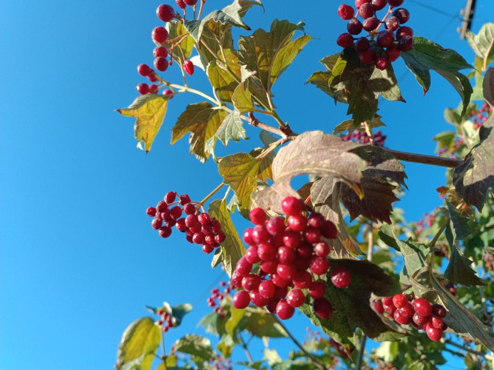 Доброе утро, Амвросиевский муниципальный округ!