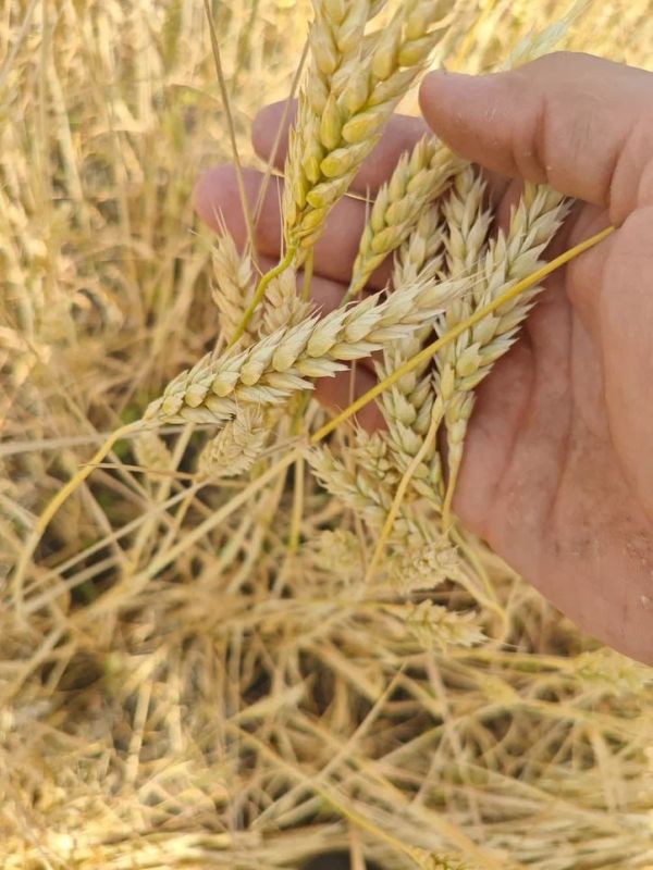 � ��� ��������� ������ ��������������� ���������