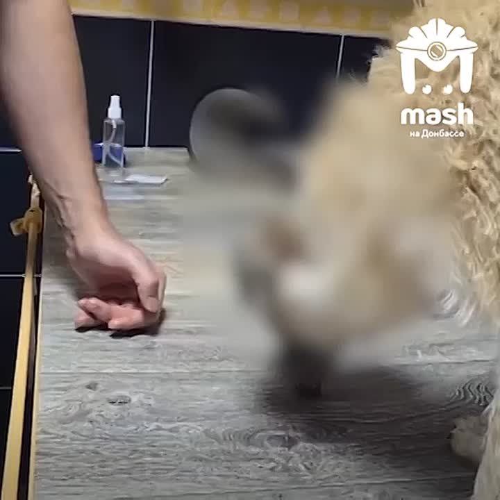 ���������� �� ������� ������� ������ � ����������� �������� � ������ ��������