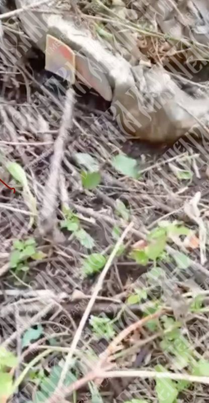 �������� ���������� ������� � ���� ��� � ����� ������� ��������� ����������� ���������
