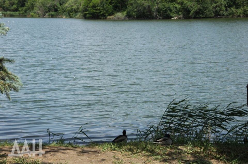 Российские студенты представят концепции развития прибрежных зон Донецка