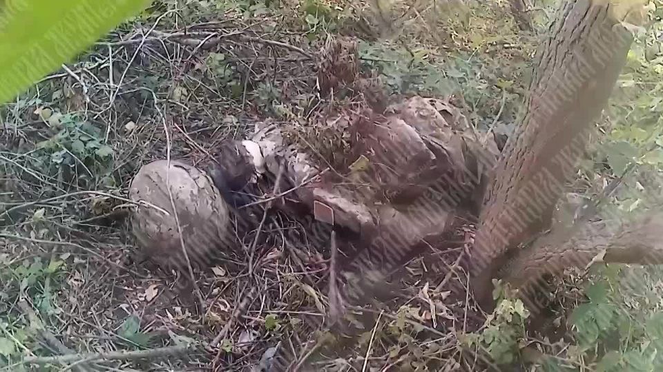 ������ ����������: ������� �������� � ������ ����������