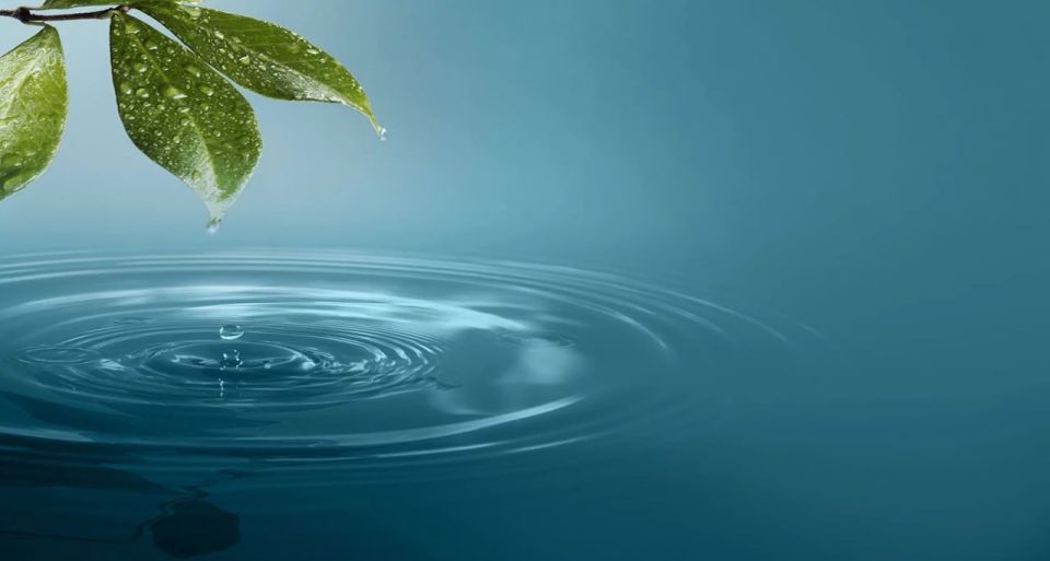 Константин Зинченко: Разумное использование водных ресурсов