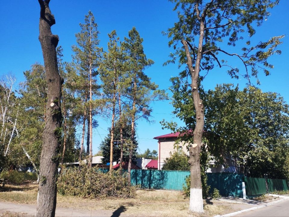 В Ждановке ведутся работы по обрезке деревьев и улучшению уличного освещения