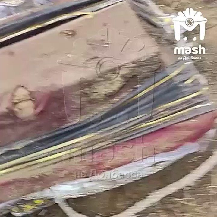 ����� ����� � ������ ���� �����: � ����������� ���������� � �������� ��������� ������ ��������