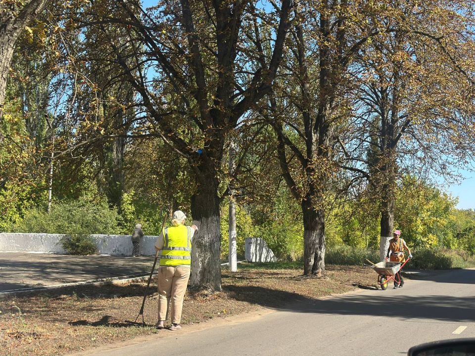 ����� �����: ������ ��� ���� ������� ����������� ������ �� ������ ���������� �� ������ � ������ �� ��. ������