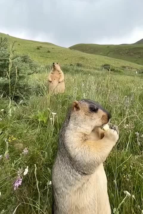 � ������ �����, ���������!