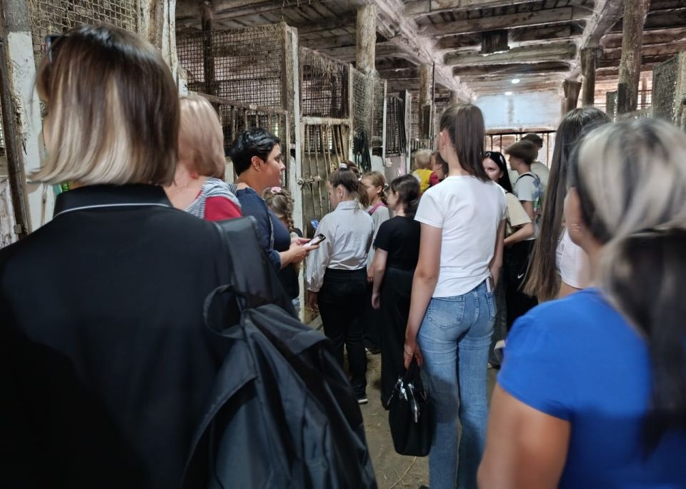 ���� ������: ������ �� �������: ����������� ����� �������� �����-���������� ����!