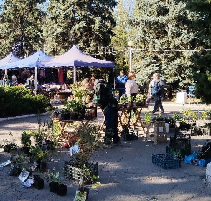 В Ждановке прошла ярмарка. 17 сентября у городского центра культуры и досуга были представлены товары от производителей и предпринимателей из разных городов Донецкой Народной Республики