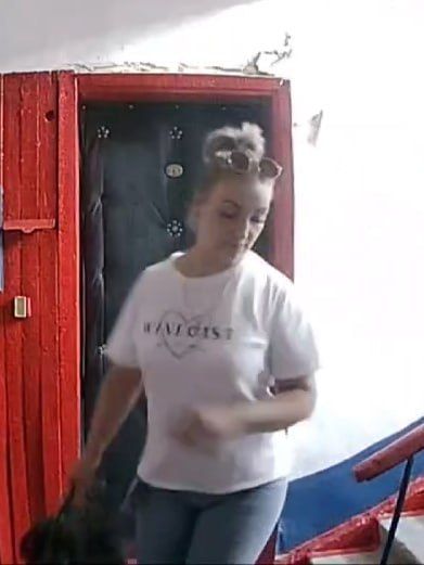 ���� �� ���� ������: � �������� ����������� ����������, ������������ ��������