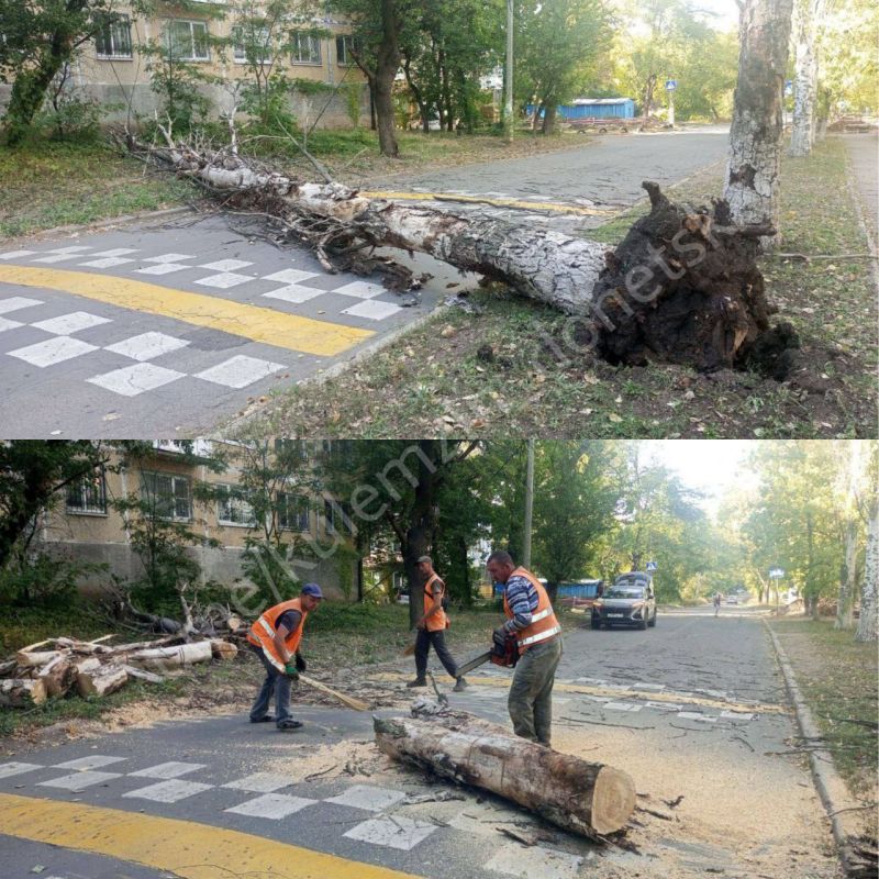 ������� ��������: ���������� ������������� ����������� ������� ������������� ���������� ��������� � ������� ����� ������ ������