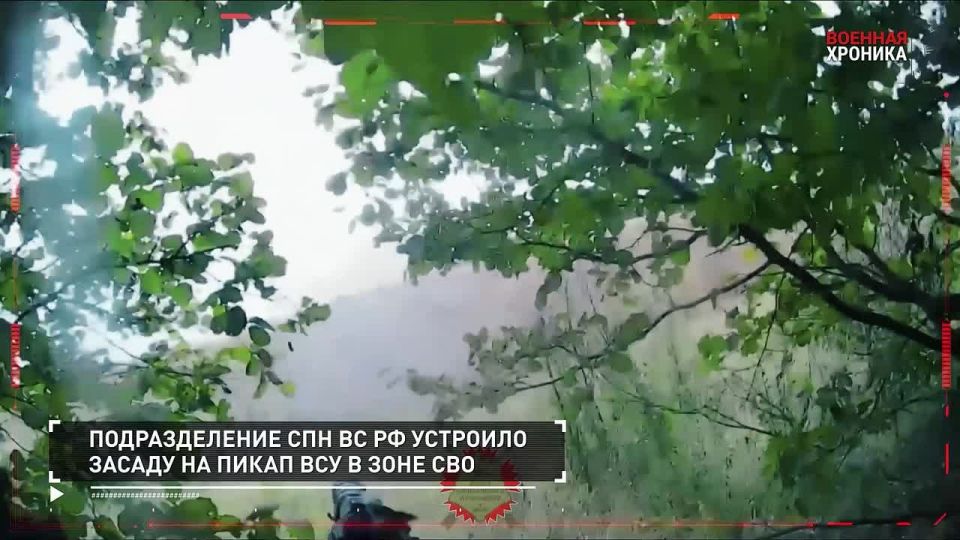 Александр Петрикин: 16 сентября - главные кадры СВО в ежедневной военной хронике