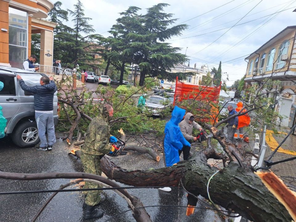 В Ялте из-за шторма упали деревья
